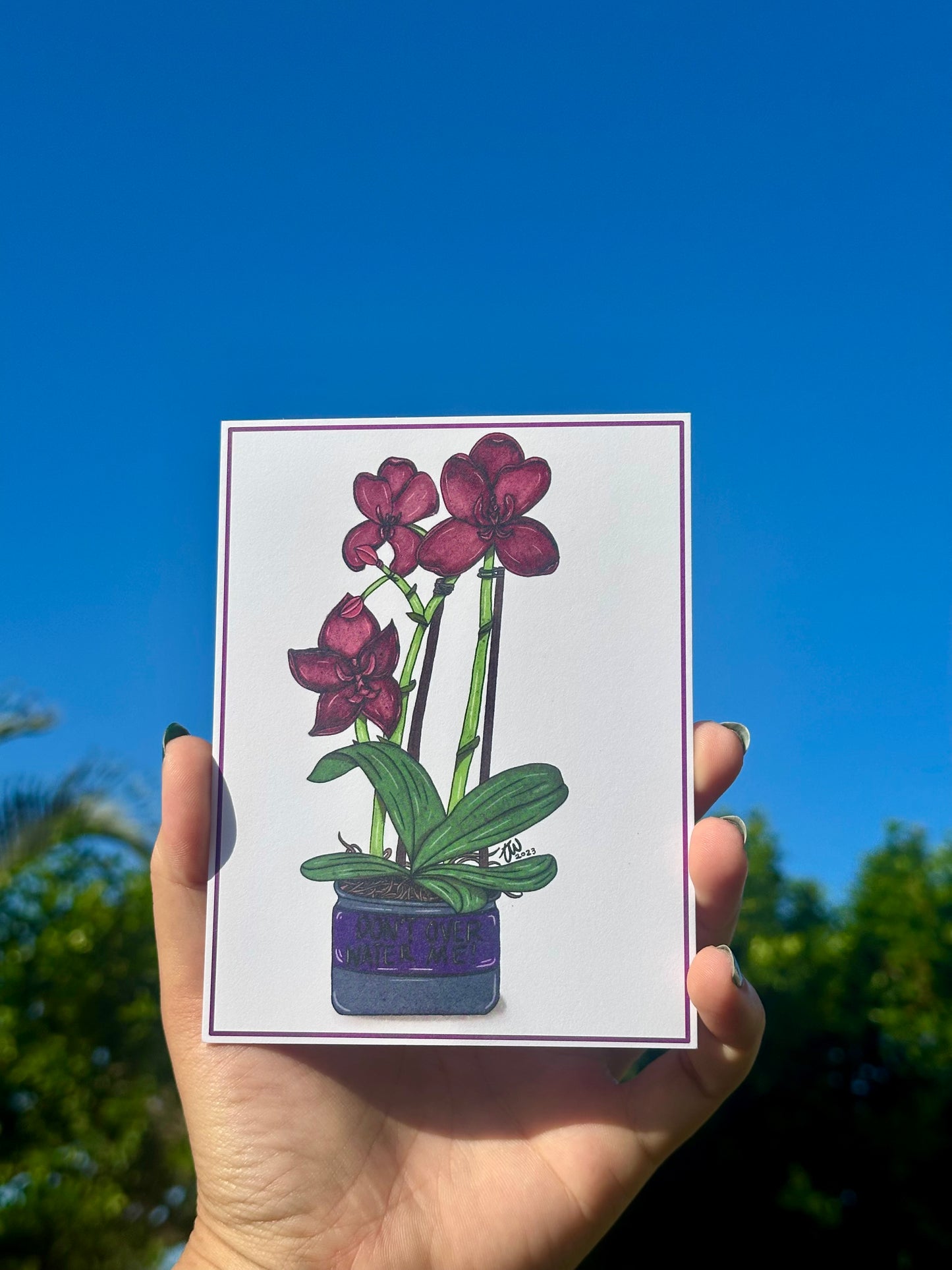 “Don’t Over Water Me” Potted Plant Print