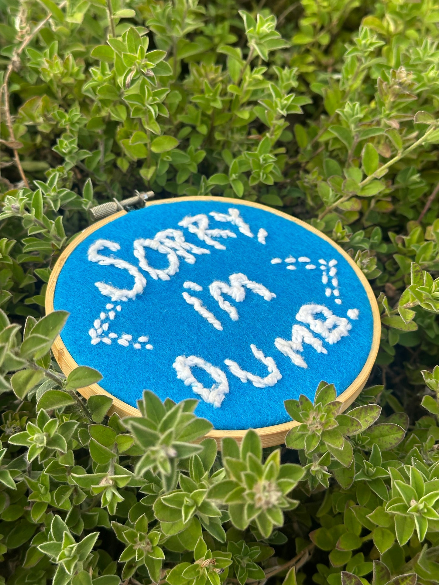 “Sorry, I’m Dumb.” Hand-Embroidered in Felt Hoop Artwork