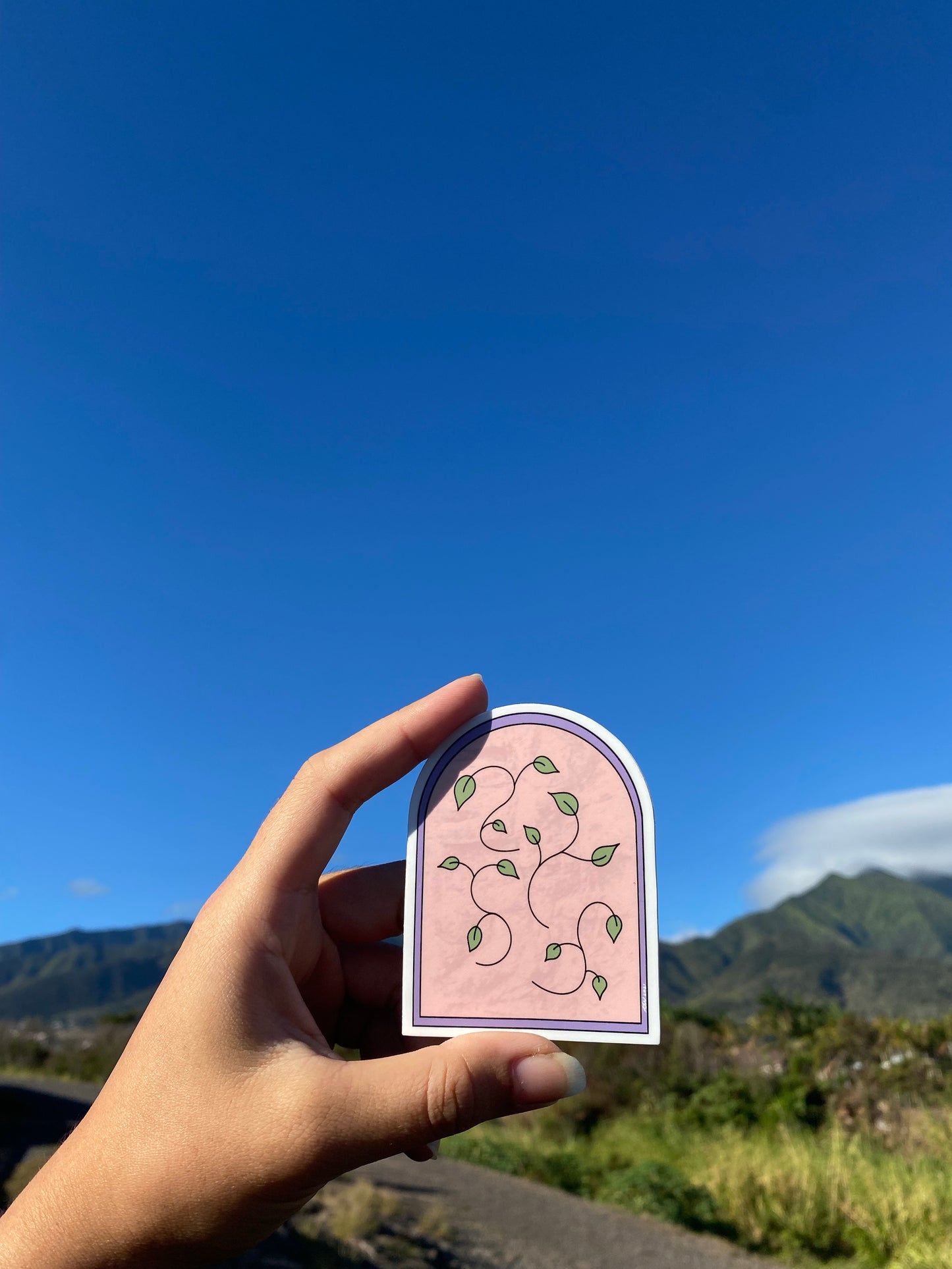 “Vine Mural” Sticker