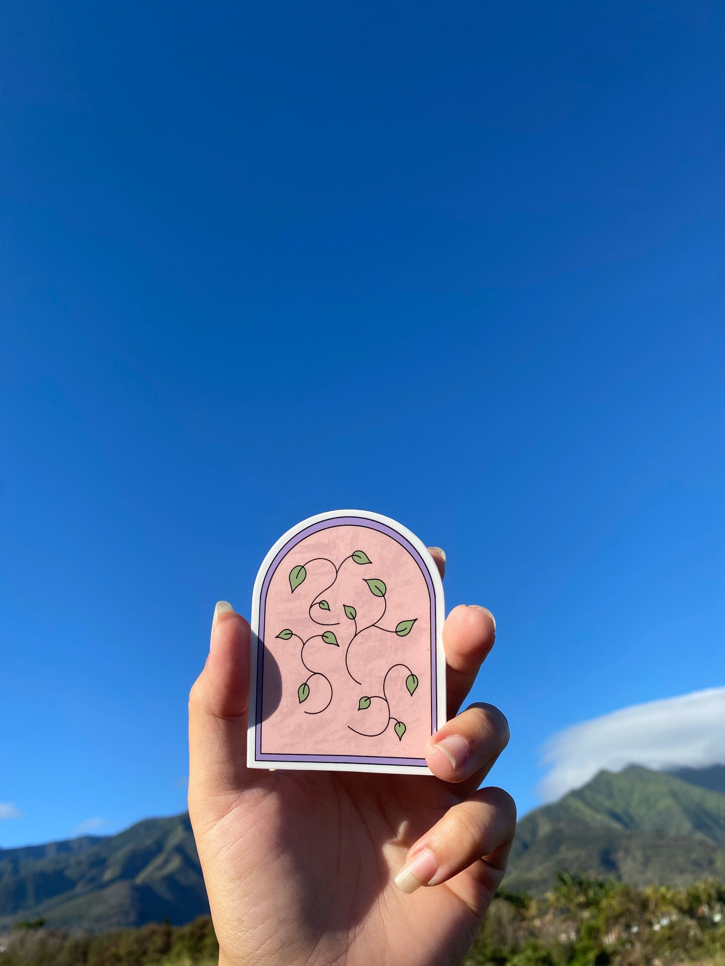 “Vine Mural” Sticker