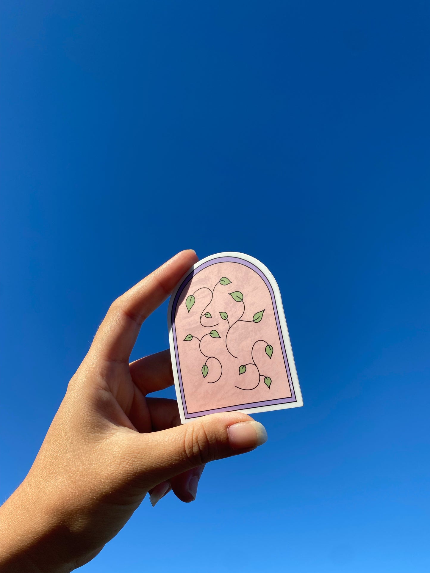 “Vine Mural” Sticker