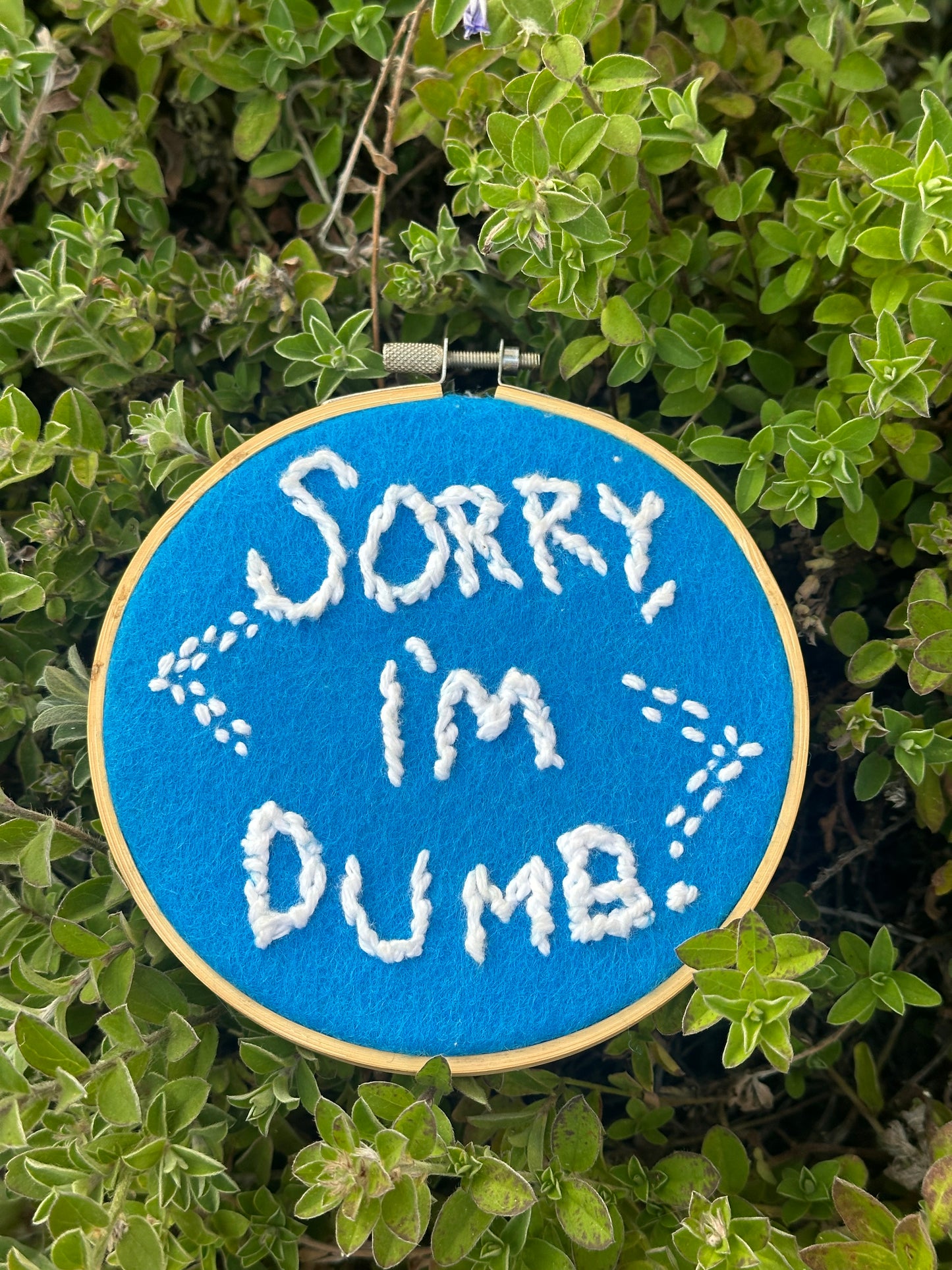 “Sorry, I’m Dumb.” Hand-Embroidered in Felt Hoop Artwork