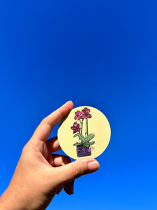House Plant “Don’ forget to Water Me” Circle Sticker