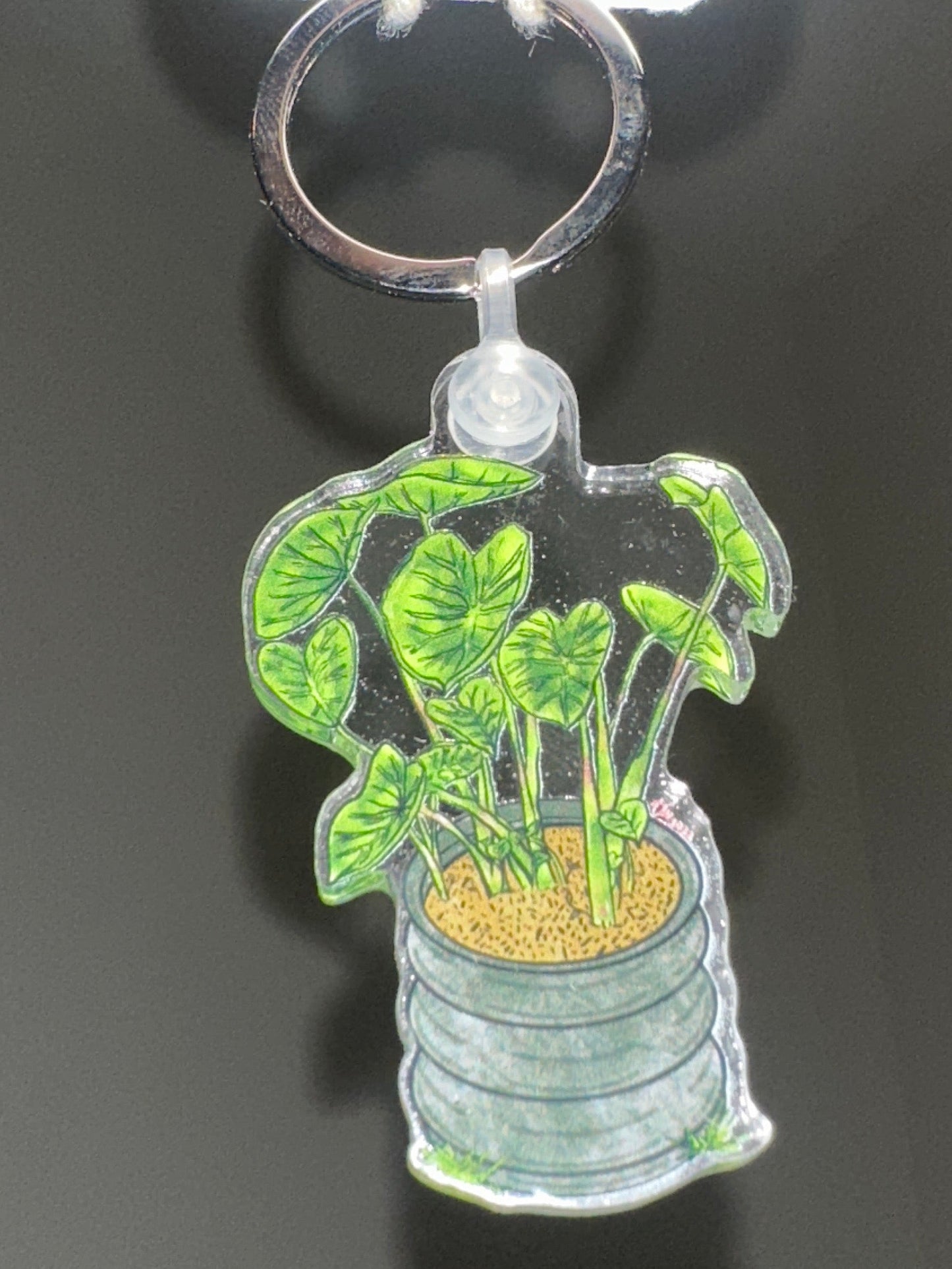 Kalo of Waiehu Acrylic Keychain