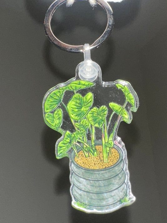 Kalo of Waiehu Acrylic Keychain