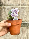 "Potted Flower" Sticker